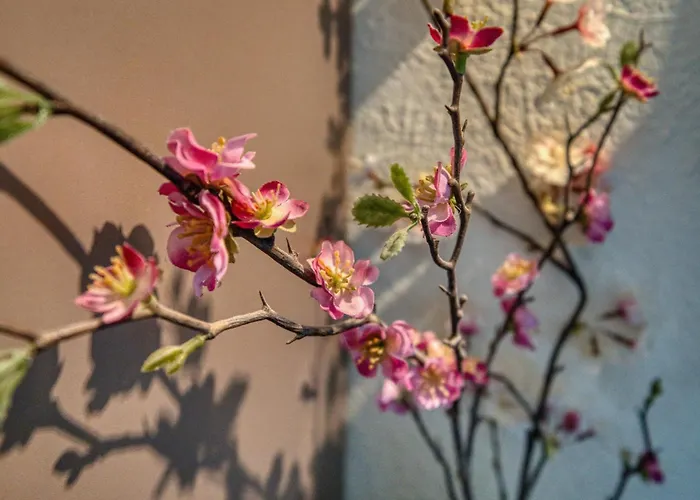 - Haus B, App 0b0511 *